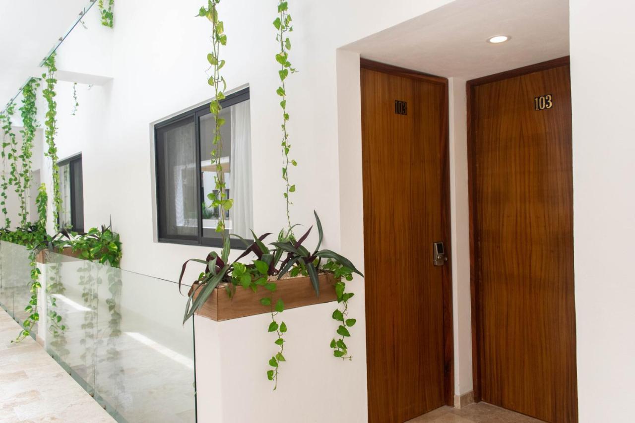 Brava Residence トゥルム エクステリア 写真